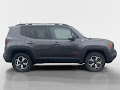 2020 Jeep Renegade Trailhawk