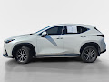 2024 Lexus NX 350 Base